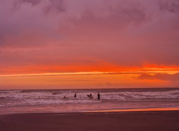 new-zealand/manawatu-wanganui/attraction/south-beach