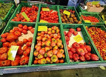 switzerland/basel/attraction/marktplatz-solothurn