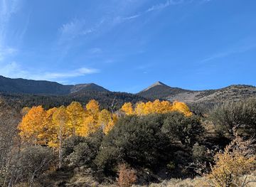 nevada/great-basin-national-park/attraction/serviceberry-trailhead