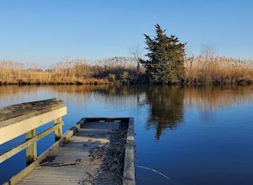 delaware/bombay-hook-national-wildlife-refuge/attraction/lebanon-landing