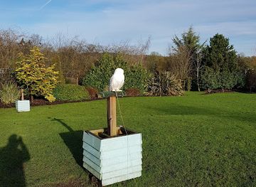 united-kingdom/berkshire/attraction/feathers-and-fur-falconry-centre