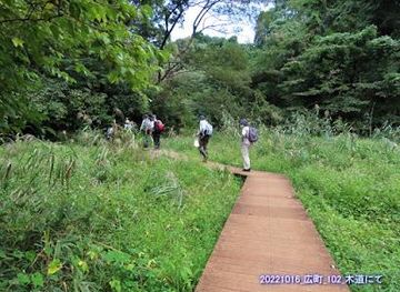 japan/tokyo/attraction/kamakurahiromachi-ryokuchi-park