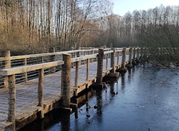 poland/kampinos-national-park/attraction/rezerwat-przyrody-losiowe-blota