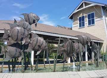 north-carolina/inner-banks/attraction/north-carolina-aquarium-on-roanoke-island
