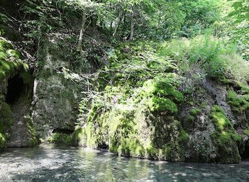 germany/baden/attraction/gutersteiner-wasserfalle