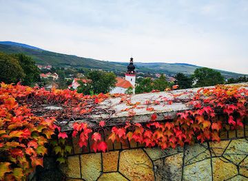 hungary/bodrogkoz/attraction/bormuzeum-es-boraszati-kultura-haza