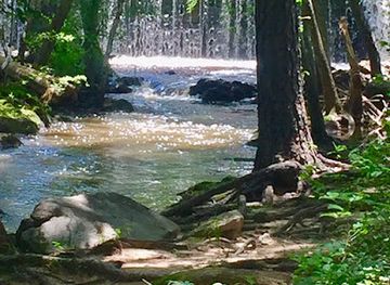 north-carolina/chapel-hill/attraction/battle-park