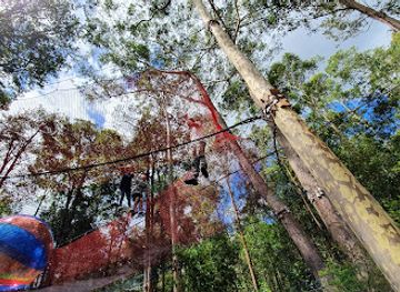 australia/central-west/attraction/treetops-adventure-central-coast