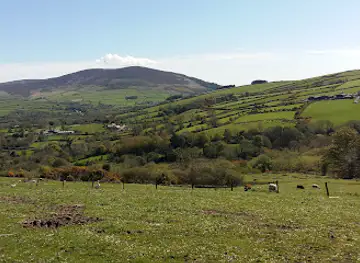 Ballalough Reedbeds Nature Reserve