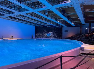 sweden/sodermanland/attraction/delfinarium
