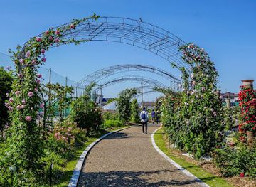 japan/settsu/attraction/wakasono-park