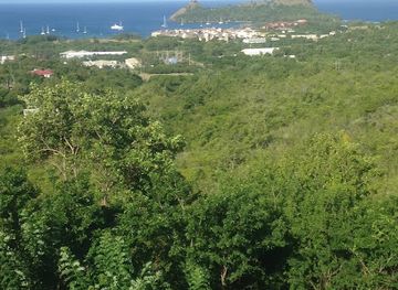 saint-lucia/gros-islet/attraction/posada-forestal
