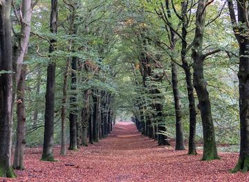 netherlands/utrechtse-heuvelrug/attraction/utrechtse-heuvelrug-national-park