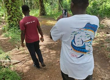 ghana/kwahu/attraction/oda-big-tree