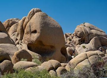 california/joshua-tree/attraction/skull-rock