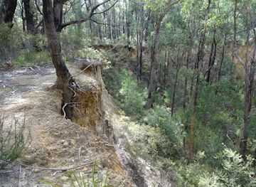 australia/the-grampians/attraction/brownings-loop-walk