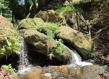 luxembourg/mullerthal/attraction/mullerthal-bridge-waterfall