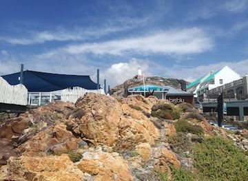 south-africa/western-cape/attraction/the-shark-lab-mini-aquarium