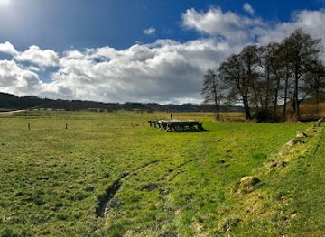 denmark/vejle/landmark/ravning-bridge
