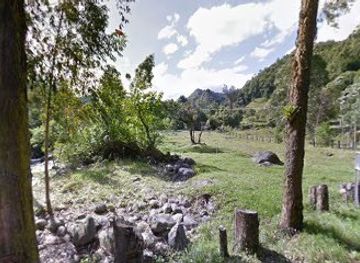 colombia/cocora-valley/attraction/paseo-ecologico