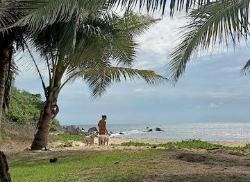 mexico/puerto-vallarta/attraction/playa-patzcuarito