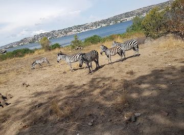 tanzania/ruaha-national-park/attraction/saanane-national-park