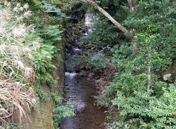 japan/yakushima/attraction/mizukuradani-no-taki