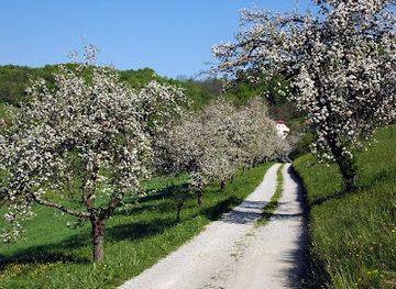 slovenia/zasavje/attraction/kozjanski-park-kozjansko-regional-park