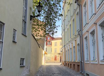 estonia/tallinn-old-town/attraction/stephen-the-seagull