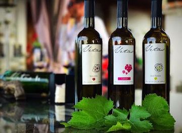 spain/costa-del-sol/attraction/bodega-vetas