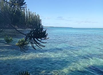 new-caledonia/poya/attraction/mana-nautique-excursions-ile-des-pins