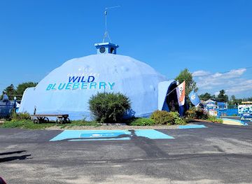 maine/washington-county/attraction/wild-blueberry-land