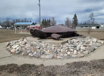 Rusty the Turtle