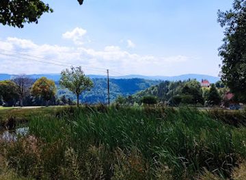 germany/black-forest/attraction/entenweier