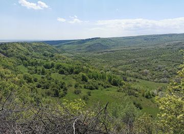 romania/vrancea/attraction/poiana-negari