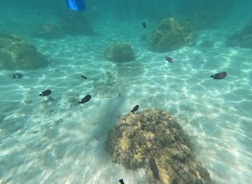 mauritius/chamarel-coloured-earth/attraction/paradis-snorkeling