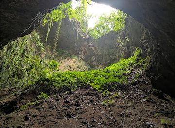 philippines/siquijor/attraction/canghaling-cave