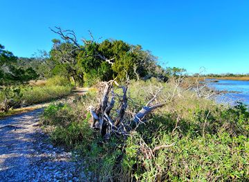 florida/first-coast/attraction/theodore-roosevelt-area-at-timucuan-preserve