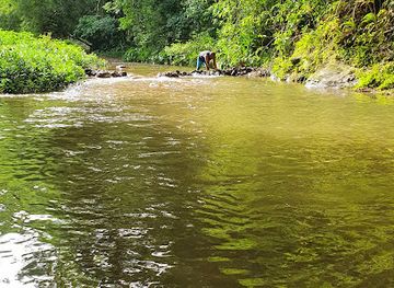 trinidad-and-tobago/caroni/attraction/caura-river-pool-two