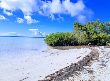 the-bahamas/bimini-islands/attraction/bimini-biological-field-station