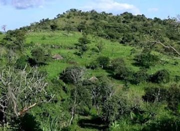 ethiopia/kaffa/attraction/the-orgin-of-coffee-lodge