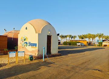 egypt/marsa-alam/attraction/abu-dabbab