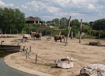 poland/greater-poland/attraction/elephant-enclosure