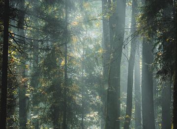 poland/zegrze-reservoir/attraction/rezerwat-przyrody-zegrze