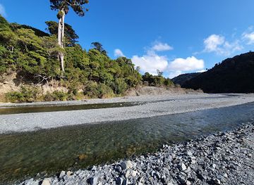 new-zealand/west-coast/attraction/remutaka-forest-park