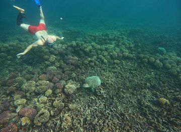 oman/muscat/attraction/al-diymaniyat-islands-nature-reserve