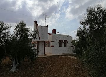 jordan/umm-qais/attraction/local-oak-look