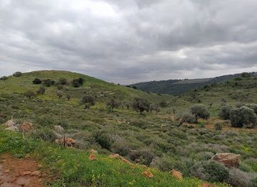 israel/northern-district/attraction/tel-yodfat-national-park-ancient-site-jotapata