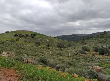 Tel Yodfat National park - ancient site Jotapata
