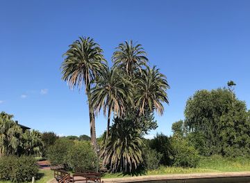 argentina/tigre/attraction/rio-tur-catamaranes